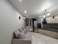 1-комнатная квартира 49.2 м² - миниатюра 3