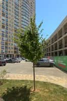 2-комнатная квартира 61.9 м² - миниатюра 1