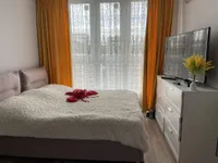 Студия 20 м² - миниатюра 2
